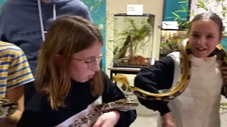 Des serpents envahissent le collège La Boétie à Sarlat