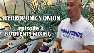 Hydroponics Onion Episode 2! HOW TO MIX NUTRIENTS FOR ONION after TRANSPLANTED