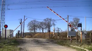 Spoorwegovergang Neuvy-Pailloux (F) // Railroad crossing // Passage à niveau