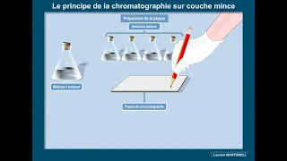 Qu'est-ce que la chromatographie sur couche mince (CCM)?