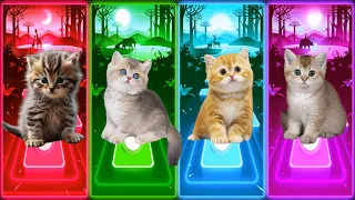 CUTE CATS FIFTY FIFTY CUPID WELLERMAN SHAKIRA WAKA WAKA IMAGINE DRAGONS in Tiles Hop EDM Rush!