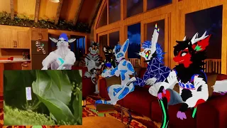 Furries React - Spiders On Drugs!