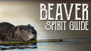 Beaver Spirit Guide - Ask the Spirit Guides Oracle - Totem Animal, Power Animal - Magical Crafting