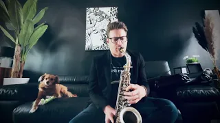 Matt Mez Sax - Nymphea/Nhyx