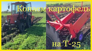 Копаем картофель на Т-25. Картофелекопалка