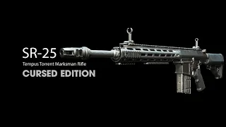 Cursed Guns | SR-25 Edition