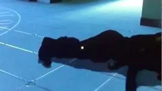 Mirrors edge: this DEAD soldiers got some moves!