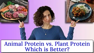 Is animal or plant based protein in food better? - How much protein do we need for strong bones?