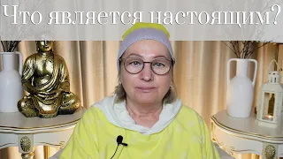 Что является настоящим, если все это воображение? ПранджалиМа