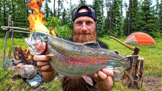 3 Days Camping in NORTHERN Canada! | Catch, Clean, Cook Football Sized Trout in the Forest!