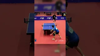 Wonderful Defence From Hou Yingchao #tabletennis #shorts