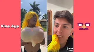 WillyTube Funny Tik Tok Video (w/Titles) Funny WillyTube Videos Part 2