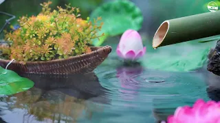 Relaxing Piano Music and Water Sounds - Bamboo, Calming Music, Meditation Music, Nature Sounds, Spa