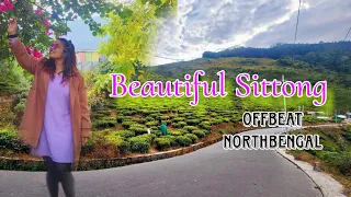 2 দিনের ছুটিতে চলে এলাম #sittong || কমলালেবুর দেশ || Tea Estate|| Best Homestay in Sittong