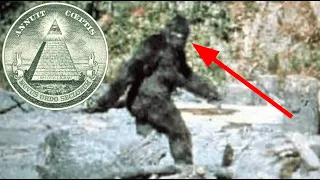 Is There a Conspiracy to Cover up Bigfoot?