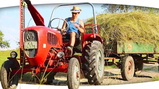 make hay with german oldtimer tractor and finger bar mower