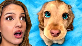 HARDEST Try Not To Say AWW Challenge EVER! (CUTE)