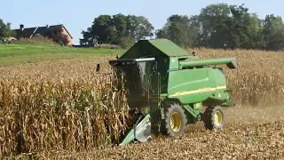 John Deere WTS 9640i & Geringhoff - zbiór kukurydzy