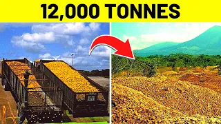 They Dumped 12,000 TONS Of Orange Peels In A Jungle. 16 Years Later THIS Happened…