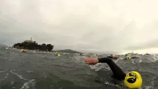 Escape! What it's like to swim the Alcatraz Sharkfest Race