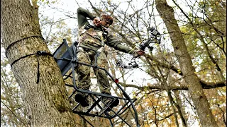 Best Climbing Tree Stand in 2023 | Top 5 Most Comfortable Climbing Tree Stands