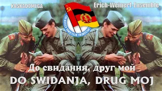 До свидания, друг мой / Do swidanja, drug moj (1977)