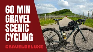 60 Minutes Scenic Indoor Cycling Workout Germany Vineyards - Just SFX