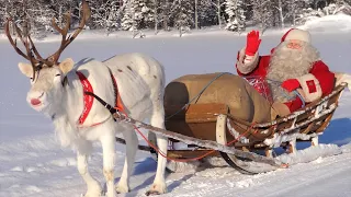 Best reindeer rides of Santa Claus 🦌🎅 Father Christmas in Lapland Rovaniemi Finland North Pole