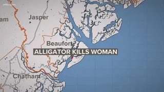 Woman killed by alligator while walking her dog near SC lagoon