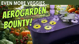 AeroGarden Bounty -- Grow With a Bigger Hydroponic Garden