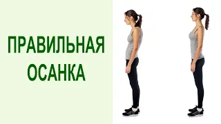 Как исправить осанку? 3 правила формирования правильной осанки и ровной спины. Yogalife