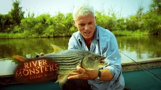 Catching A Killer Tigerfish | SPECIAL EPISODE | River Monsters