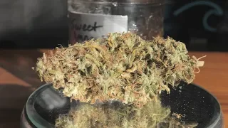 Sweet Amnesia Marijuana Monday