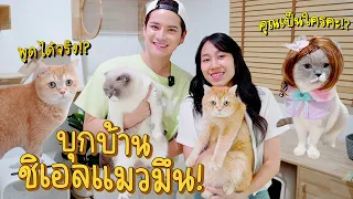 บุกบ้านชิเอลแมวมึน แมวดังยอดฟอล 5 ล้านคน!! น้องพูดได้จริง!? | ติดเต๋า