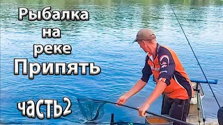 Рыбалка в Беларуси. Рыбалка на реке Припять. Река Припять в районе Микашевич.