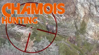 Hunting Pyrenean Chamois / 2015