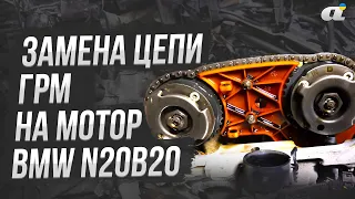 Замена цепи ГРМ на мотор BMW N20B20👍 ЛАЙФХАК как сэкономить [Car Service, Одесса]