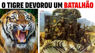 Tigres do Vietnã -  O Verdadeiro Horror da Guerra do Vietnã