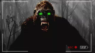 FINDING BIGFOOT & MISSING PEOPLE!! (Finding Bigfoot Game)