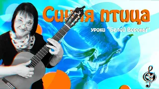 🎸"Синяя птица". Начальный уровень. Подробный разбор