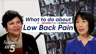 WHO’s Science in 5: Low back pain