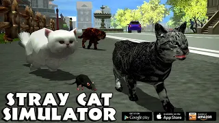 😻🐈Stray Cat VS Dogs, Rats, Mouse, People and Stray Cats