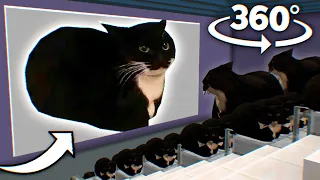 360° Maxwell The Cat - CINEMA MINECRAFT HALL | VR/360° Experience