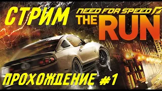 Need for Speed: The Run. Стрим прохождение #1