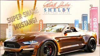 Danny Unveils A Count's Kustoms Collab With Shelby American!