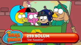 Kral Şakir 259. Bölüm - Dar Kazaklar