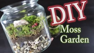 DIY Moss Terrarium:  How To Make A Moss Garden