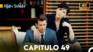 Pájaro Soñador Capítulo 49 (Doblado En Español 4K)