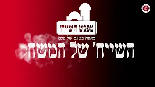 השייח׳ של המשחק - קאדין קרינגטון