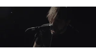 Our Hollow, Our Home - Shape Of You (Ed Sheeran Cover)